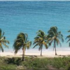 Des nouvelles complètes de Saint Martin dans les Caraïbes | Comprehensive news of St Martin in the Caribbean
