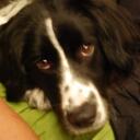 Amanda Render - @AmandaRender - Twitter