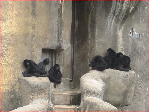 DAVE_YOU's profile picture. 