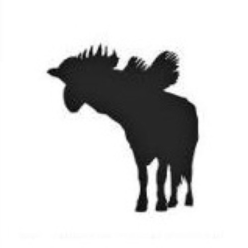 Sviluppando #Graphic design #Web design #Illustration nel nostro laboratorio grafico di periferia, Gallucca Headquarters