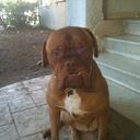 ariel weiss - @relwei - Twitter