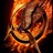 HungerGames