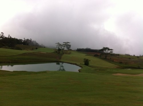 ddelaossa33's profile picture. 