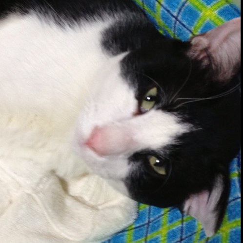 aistory1201's profile picture. 「アイものがたり」関係をつぶやきます。
フォローとか大歓迎♪読者さん大歓迎♪