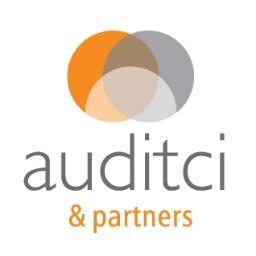 Partner in Auditci & Partners, founder of Auditci Monitoring Tool, management consultancy, kwaliteitsmanagement, arbo & milieu, ISO, Hiqure