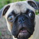 Lisa Parish - @lp411 - Twitter