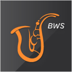 Connecting startups with CEOs and VCs. Networking event in NRW area (Germany).