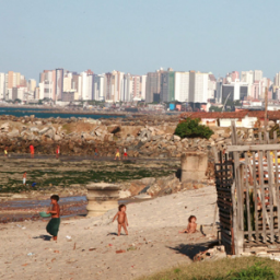 FortPoliticaCid's profile picture. 