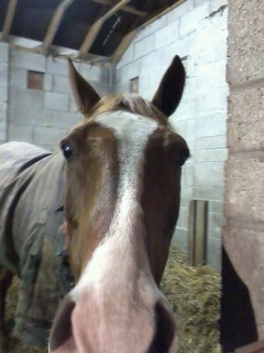 ZoeLivermore's profile picture. 