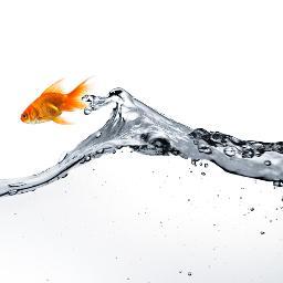 Een sterk marketing platform met een succesvolle focus op concept en forrmule development. Doortastend. Innoverend. Met lef.
