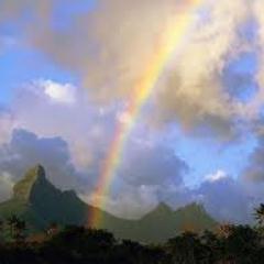 NicoleJ89014347's profile picture. 