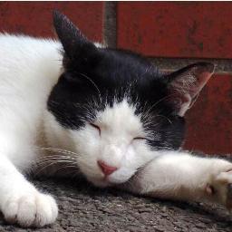 GO_BANGS's profile picture. ※全て私見です。
※気ままに活きてます。
※写真撮ったり・二輪車に乗ったり。
※ガジェット大好。