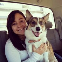 Cheyenne Crocker (@shelbiecrocker) 's Twitter Profile