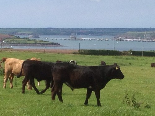 PerryPerrymason's profile picture. 