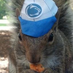My name is Sneezy, and I'm a friendly, wild squirrel who lives on the Penn State campus. All of my photos are 100% authentic and Photoshop-free.
