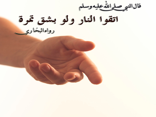 mohamedelkielan's profile picture. 