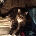 Jane Ingold - @janeingold - Twitter