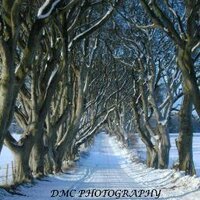 DMC PHOTOGRAPHY (@dmcphotography2) Twitter profile photo