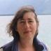 Jennifer Young/Jenny Dent (@jyoungwriter) Twitter profile photo Jennifer Young/Jenny Dent (@jyoungwriter) Twitter profile photo