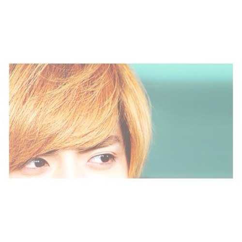 เจ้าของเดียวกับโทนาฟ ฟอลกลับทุกนาง