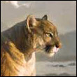 gyfejidedof Profile Picture