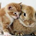 Michael Cornett - @MichaelCornett4 - Twitter