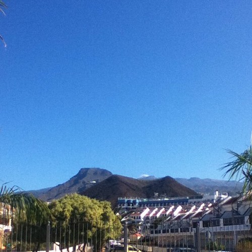 makecamo's profile picture. 