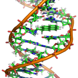 D-MARK Biosciences is the premier Canadian distributor of advanced solutions for Molecular Biology. NGS, Microarrays, qPCR, PCR, DNA/RNA prep and Sanger.