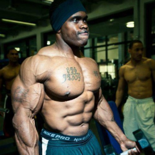 kEny0n7's profile picture. I didn't do it. Gypsy did it.