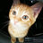 ZainabM's Twitter (X) avatar