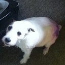 Sam Rule - @Ballistica131 - Twitter