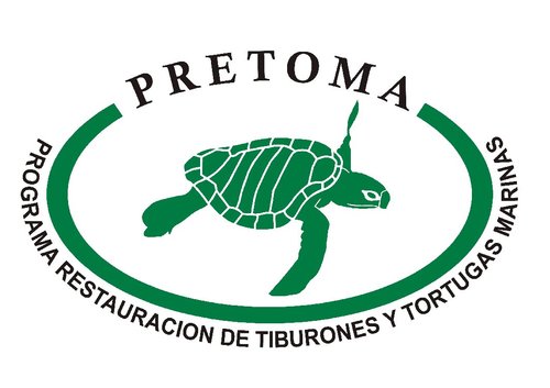 Twitter Oficial de la Asociación PRETOMA - Programa de Restauración de Tiburones y Tortugas Marinas