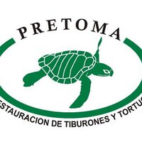 Pretoma (@pretomacr) 's Twitter Profile