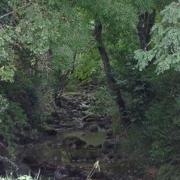 Saizisa's profile picture. 