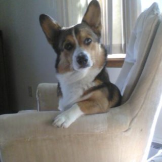 Saint_Patty3's profile picture. 