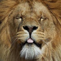 Titobellido's profile picture. 