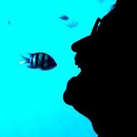 Jaime Zamorano (@cefalopodo) 's Twitter Profile Photo Jaime Zamorano (@cefalopodo) 's Twitter Profile Photo