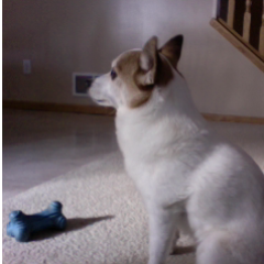 DaisyMaeStarry's profile picture. 