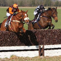 The official point-to-point horse racing site for meetings in Wessex (Dorset, Somerset & Wiltshire)