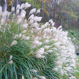 hobaa78's profile picture. 