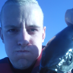 Jakkebest's profile picture. 