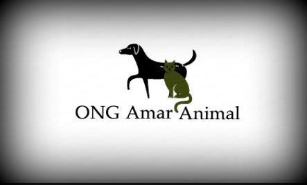 AMAMOS OS ANIMAIS!!