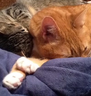 DariaHP's profile picture. 