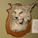 John Avis - @HiMyNameIsAvis - Twitter