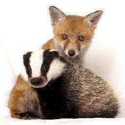 Wildlife Sanctuary