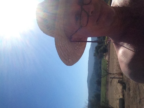 christobraun's profile picture. artist