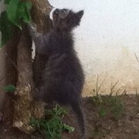 José M. Fdez de Loaysa (@josemfloa) 's Twitter Profile