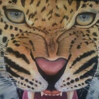 juanjofdezcarbajo (@jotaefece) 's Twitter Profile