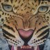 juanjofdezcarbajo (@jotaefece) Twitter profile photo juanjofdezcarbajo (@jotaefece) Twitter profile photo