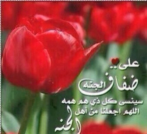 {رَبِّ إِنِّي لِمَا أَنزَلْتَ إِلَيَّ مِنْ خَيْرٍ فَقِيرٌ}
UAE